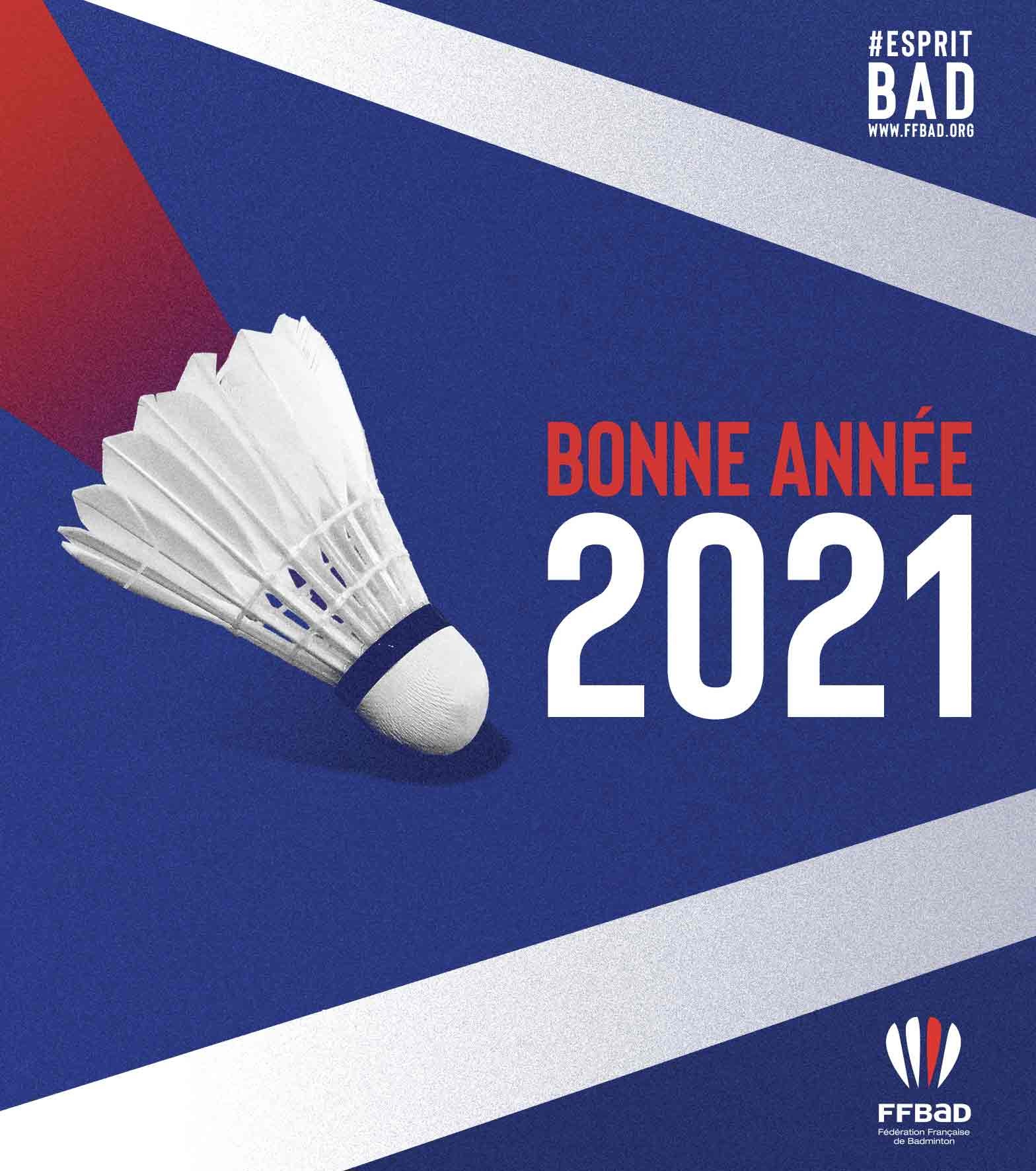 basisago Ensemble 4 De Badminton en Alliage Raquette De Badminton L/ég/ère /À Tige pour Raquette de Badminton en Graphite avec Housse de Raquette
